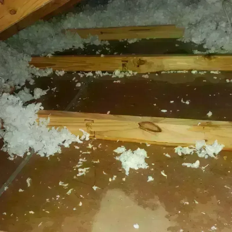 Attic Water Damage in Hominy, OK