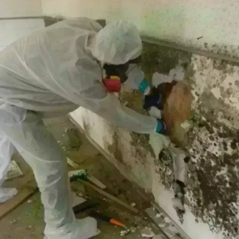 Mold Remediation and Removal in Hominy, OK